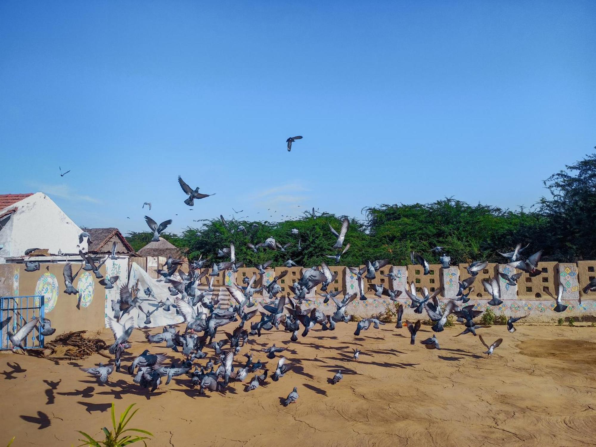 White Land Villagestay Dhordo Bagian luar foto